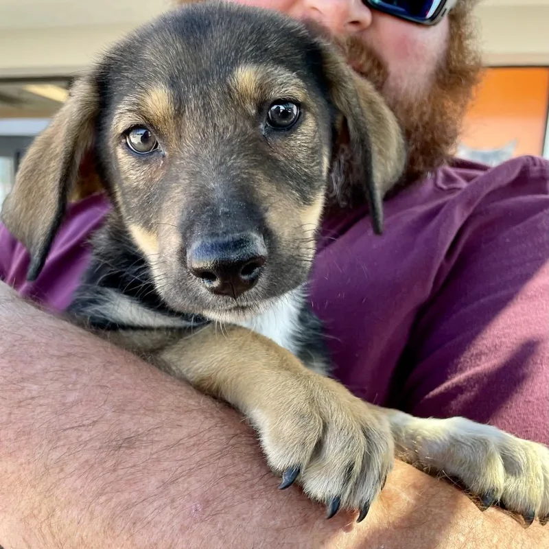 Mitzi