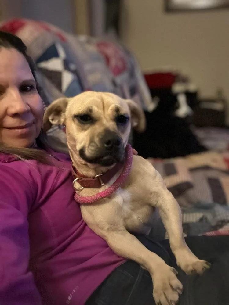 Meredith thumbnail 2