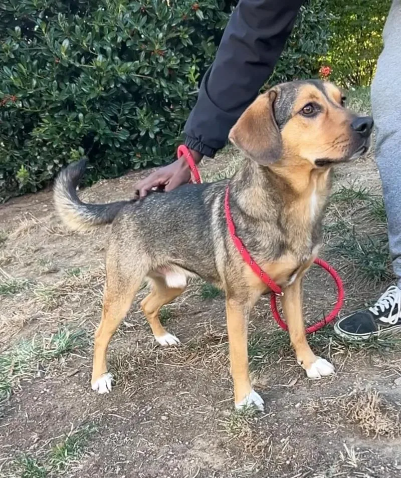 Coco George thumbnail 3