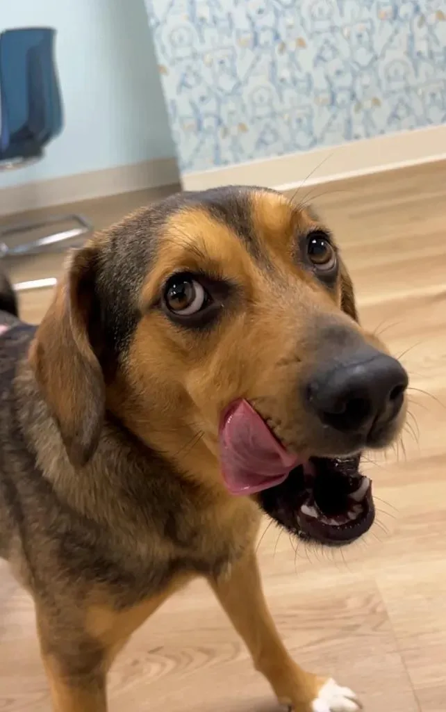 Coco George thumbnail 4