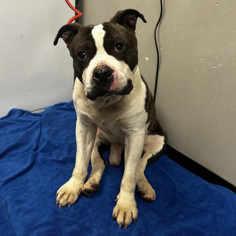 Leefy Lee thumbnail 2