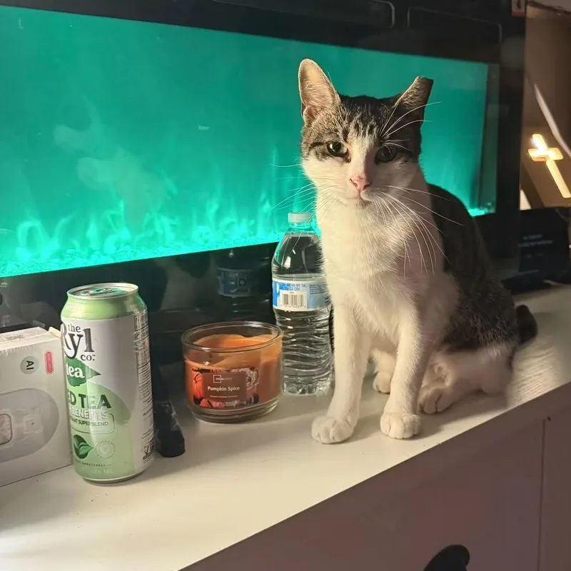 Suki thumbnail 2