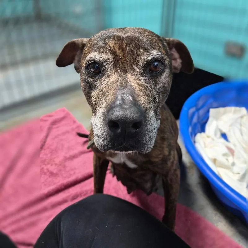 Mama Mia thumbnail 2