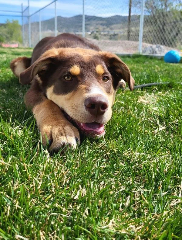 Sherlock thumbnail 4