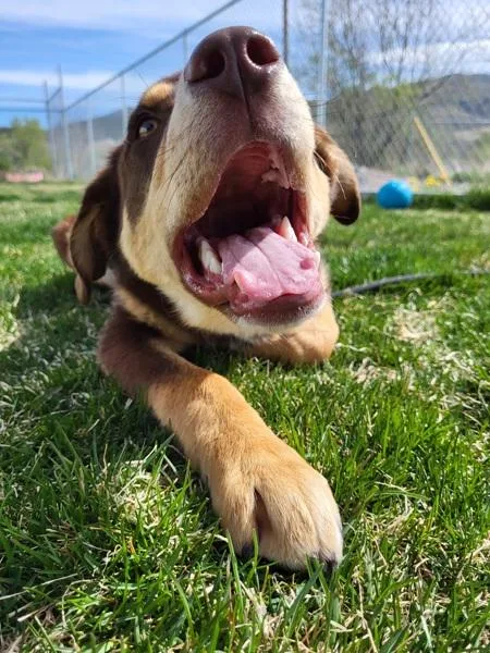 Sherlock thumbnail 5