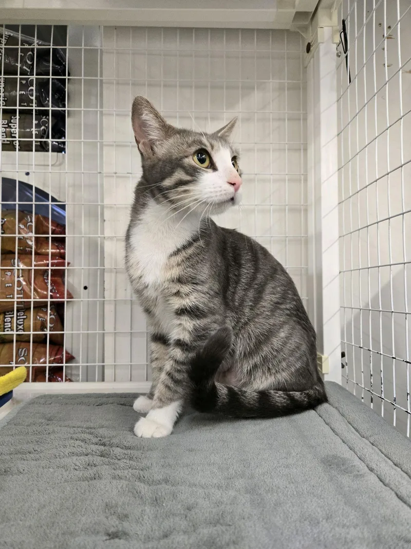 Champagne thumbnail 2