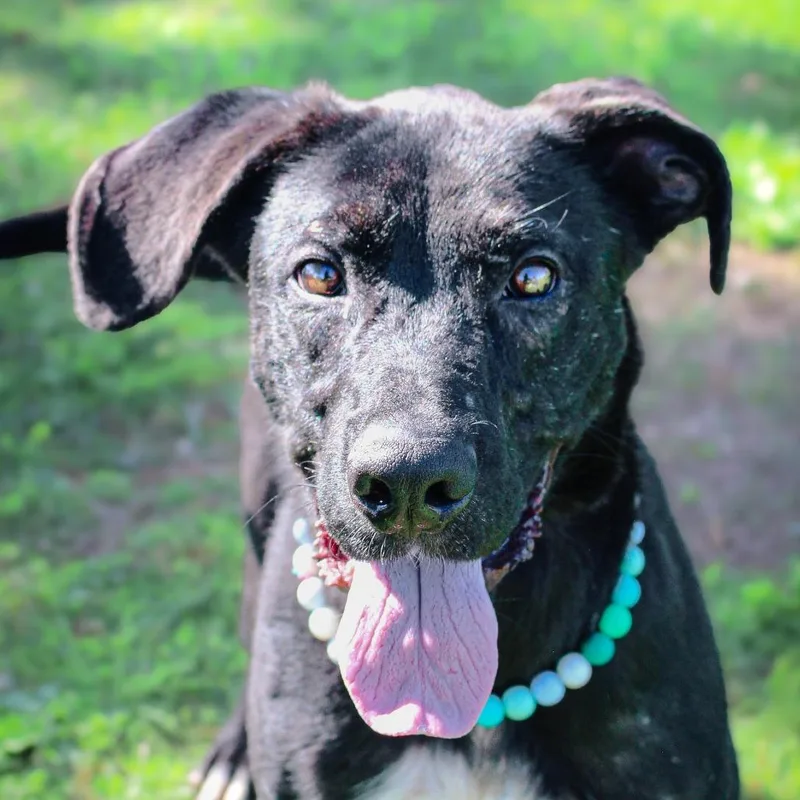 Fernando thumbnail 2