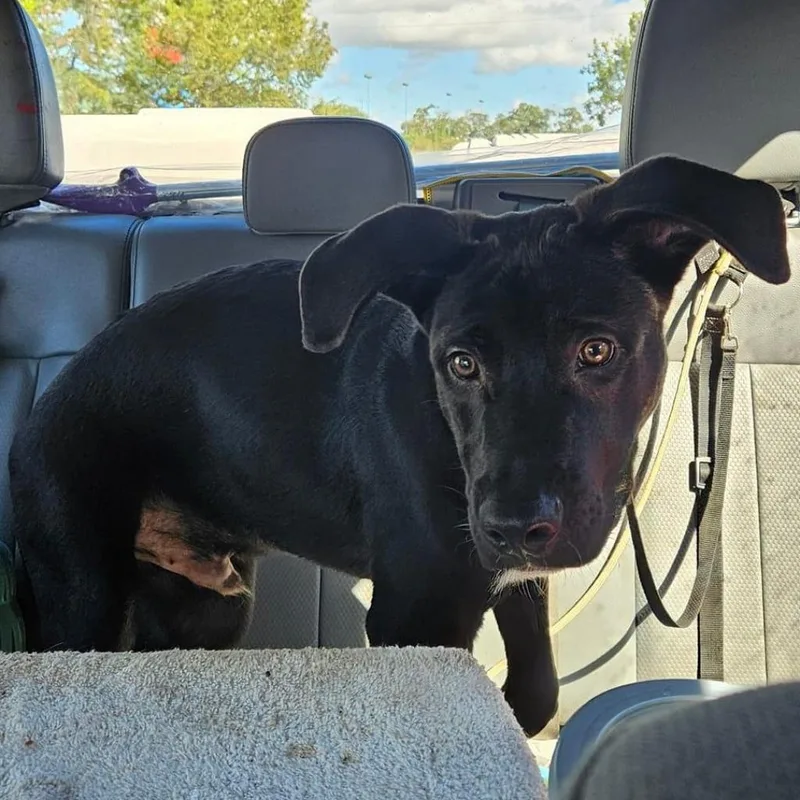 Fernando thumbnail 3