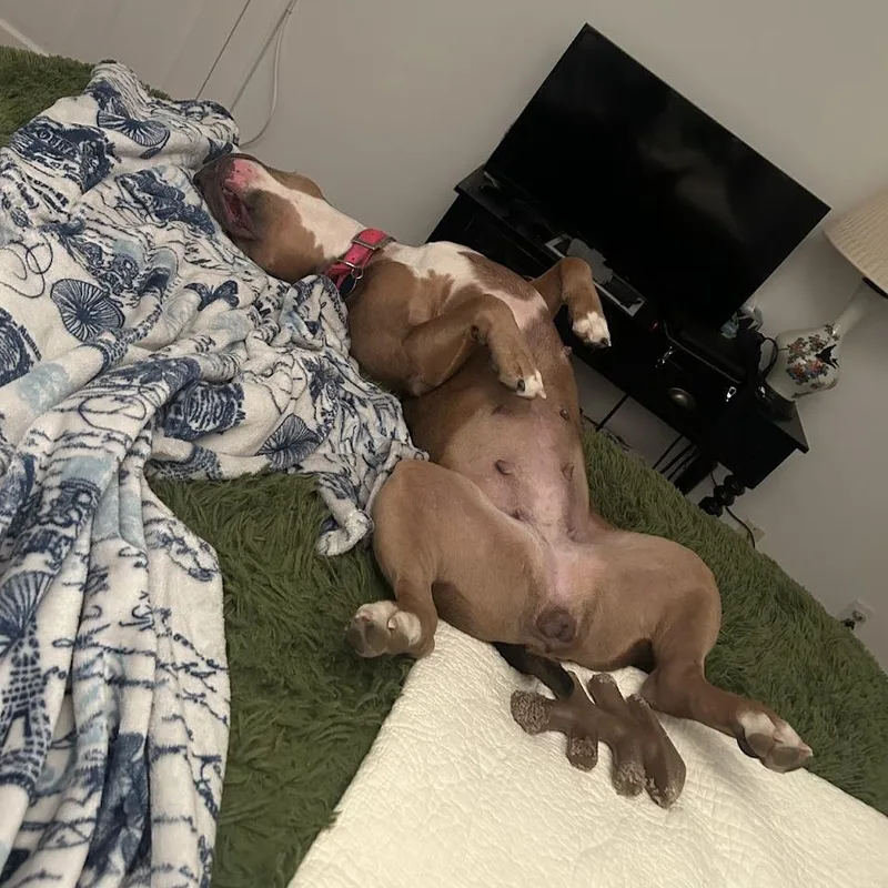 Bobby Sue thumbnail 4