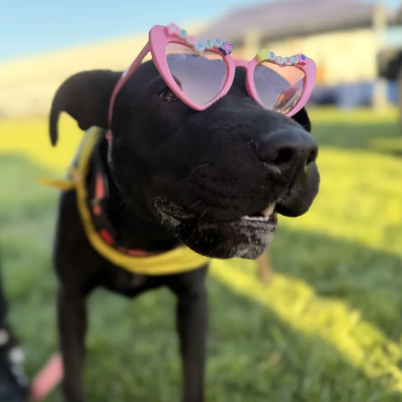 Beauty Queen thumbnail 2