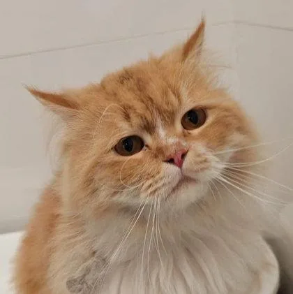 Jeremy Katter thumbnail 2
