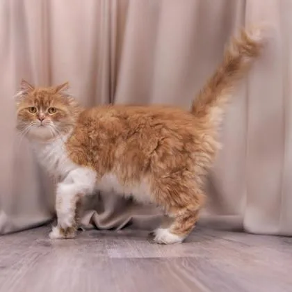 Jeremy Katter thumbnail 3
