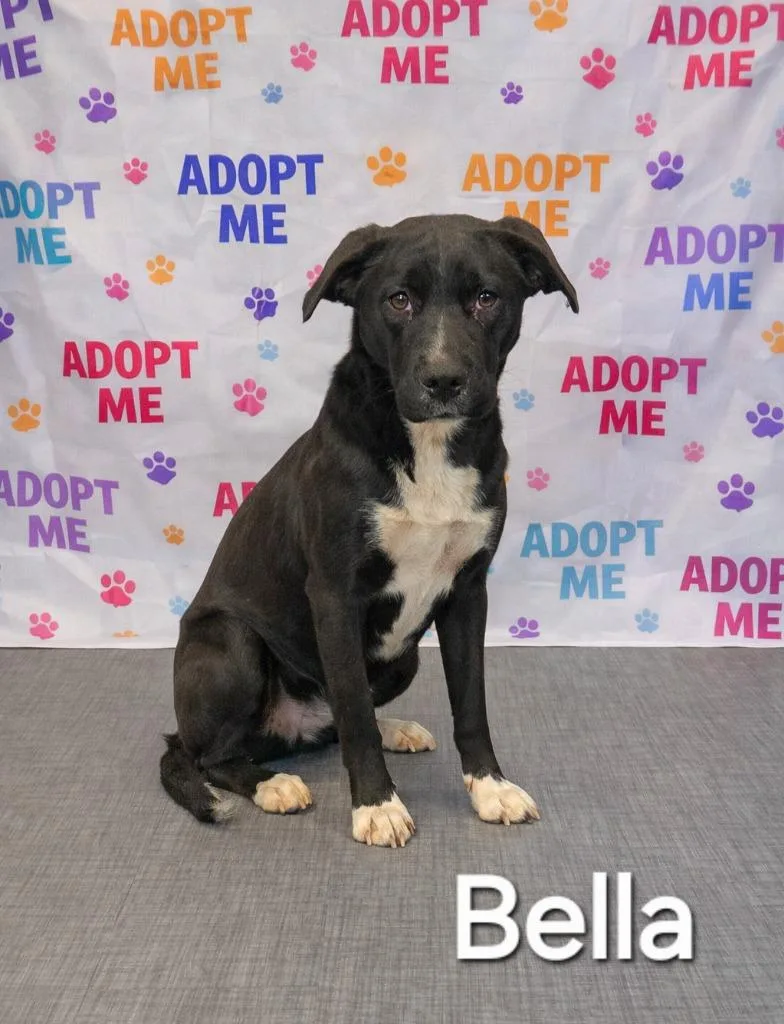 Bella Yrly thumbnail 2