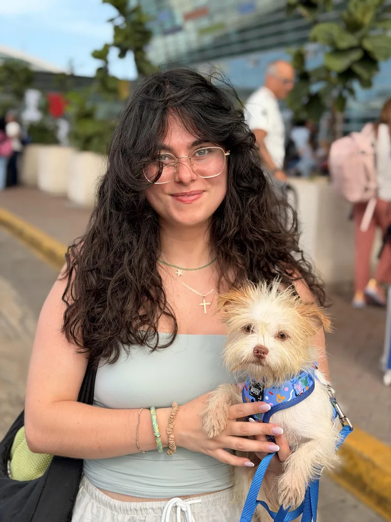 A young small-sized male Maltese dog named Buster for adoption in Pleasant Valley, NY