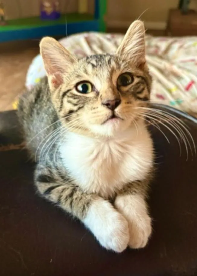 Bootsie thumbnail 2