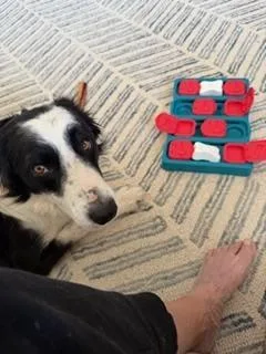 Cooper thumbnail 2