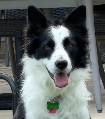 Cooper thumbnail 5