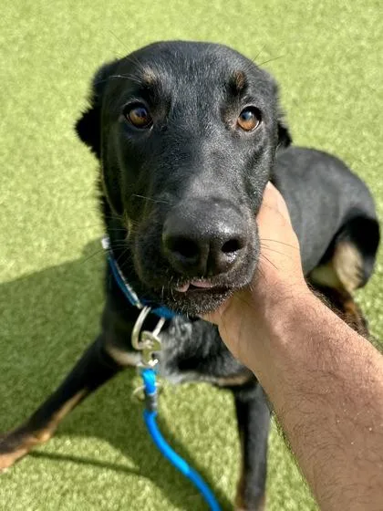 Tango
