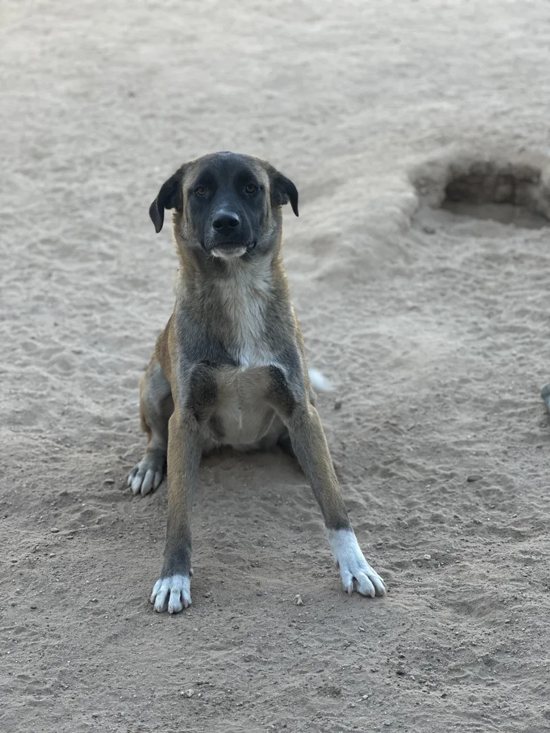 Morticia thumbnail 2