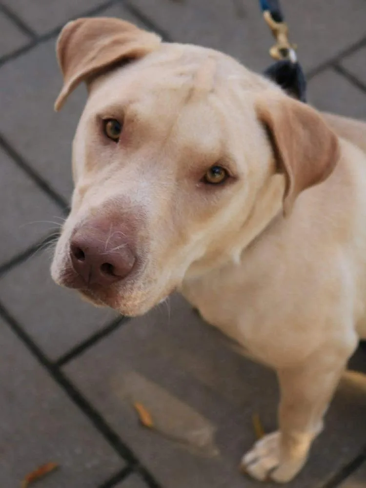 Crush Aka Memphis 🇨🇦