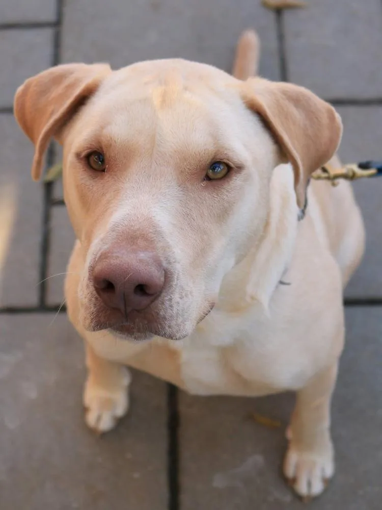 Crush Aka Memphis 🇨🇦 thumbnail 2