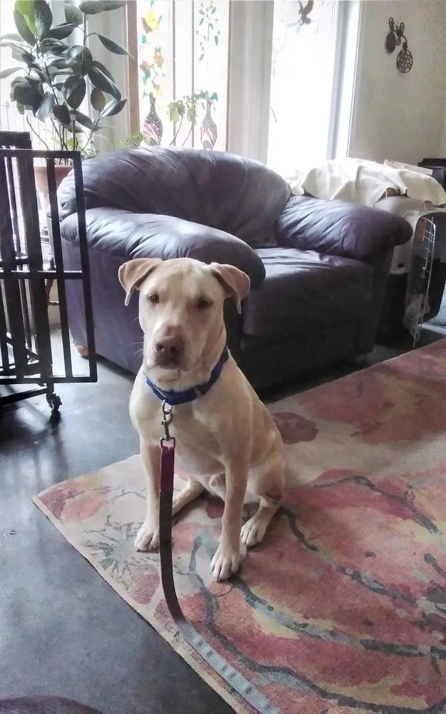 Crush Aka Memphis 🇨🇦 thumbnail 3