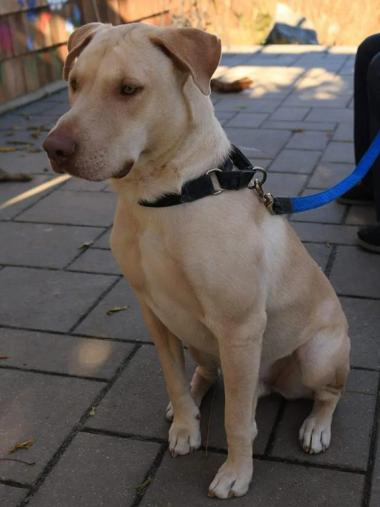 Crush Aka Memphis 🇨🇦 thumbnail 4