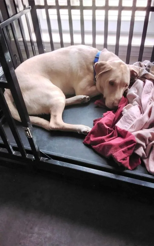 Crush Aka Memphis 🇨🇦 thumbnail 5