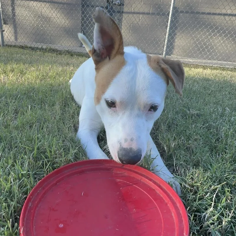 Wyatt Hendrickson thumbnail 2