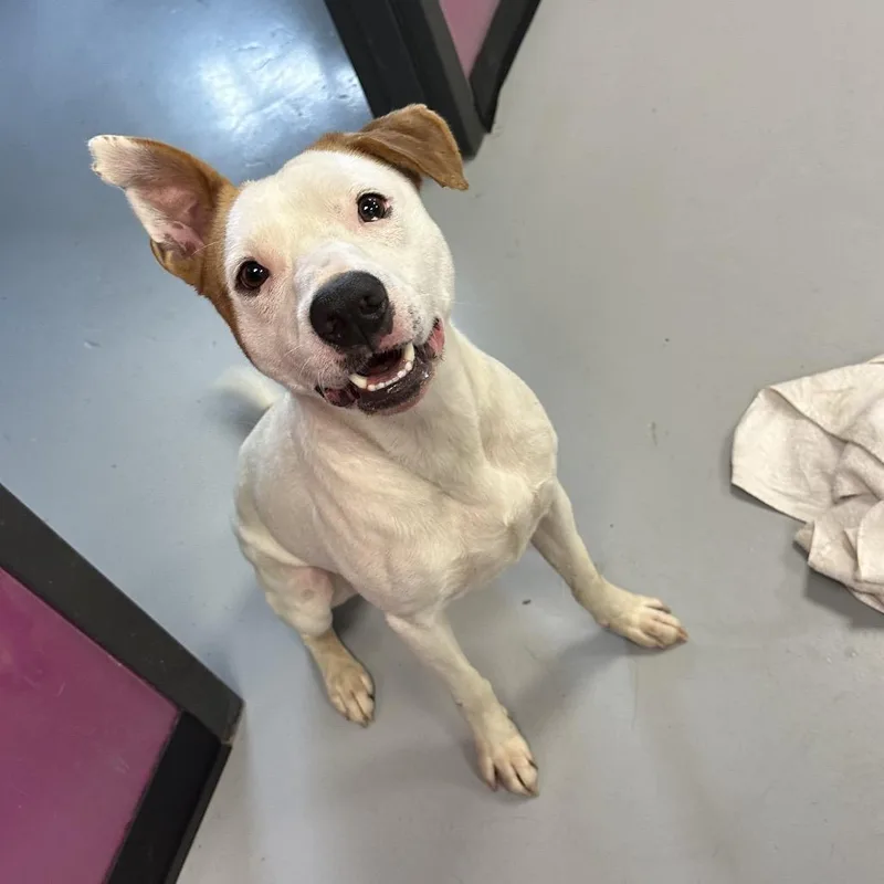 Wyatt Hendrickson thumbnail 3