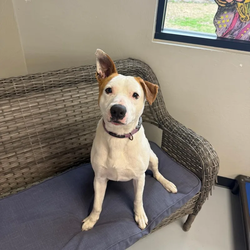 Wyatt Hendrickson thumbnail 4