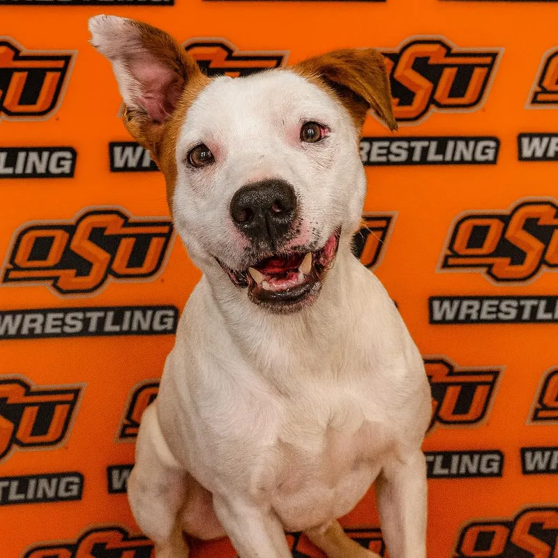 Wyatt Hendrickson thumbnail 5