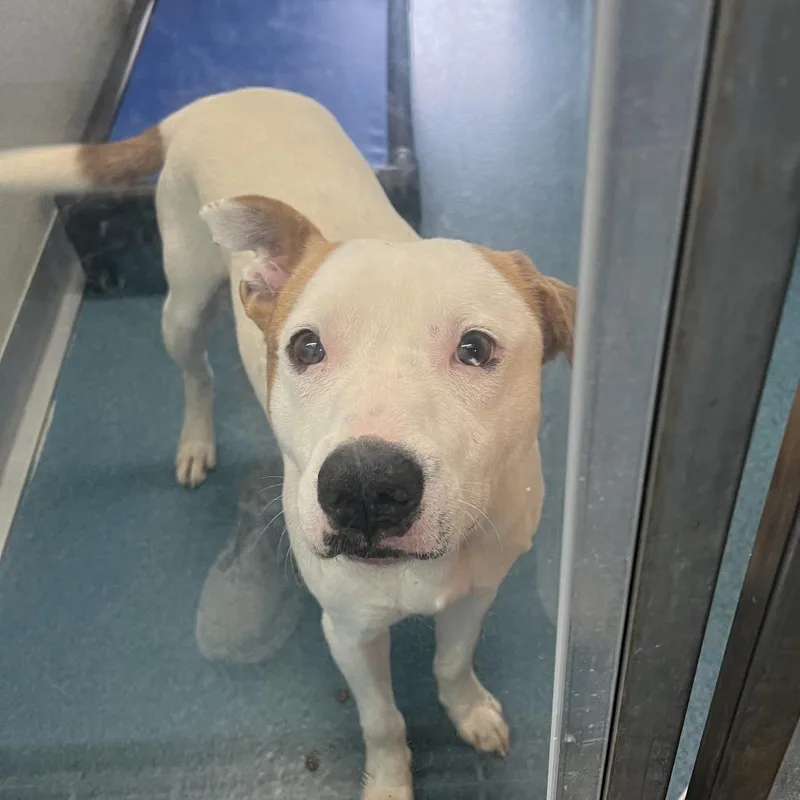 Wyatt Hendrickson thumbnail 6