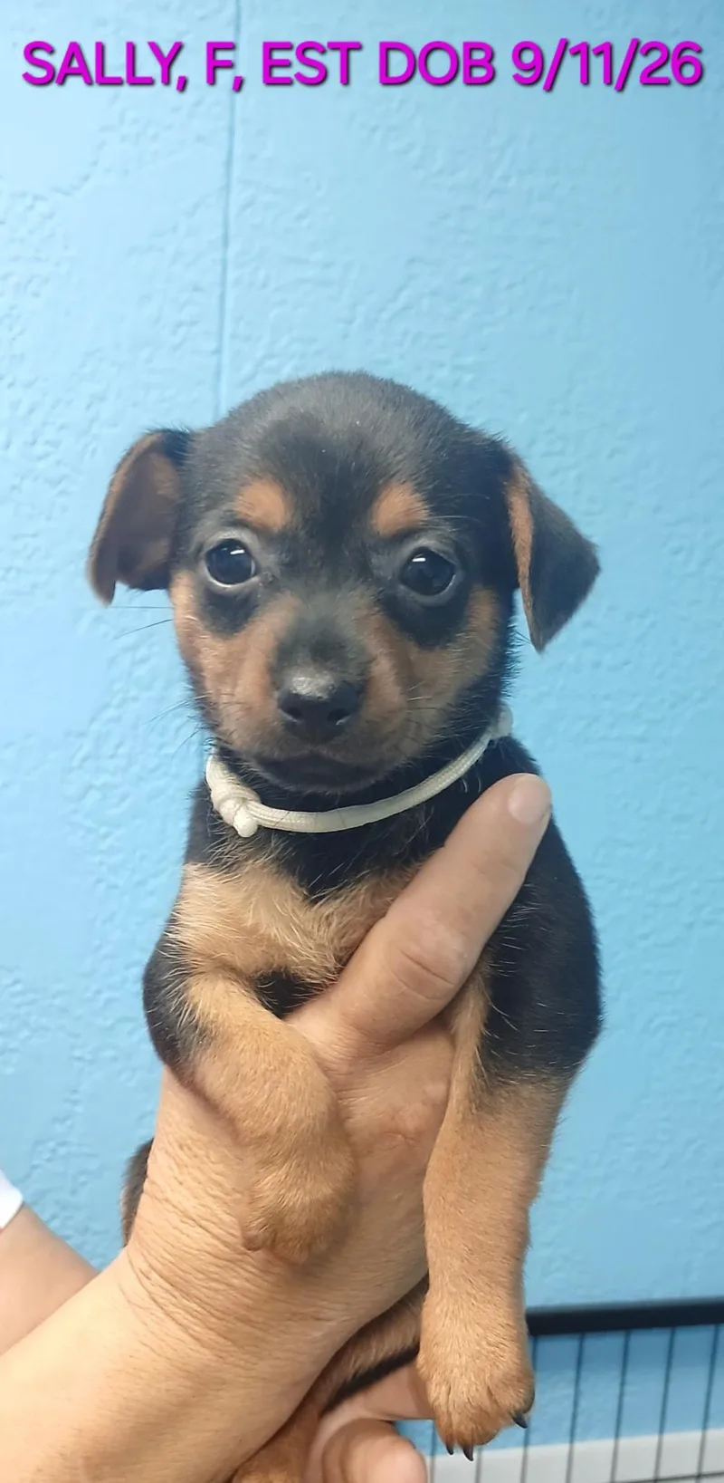 Suri's thumbnail 2