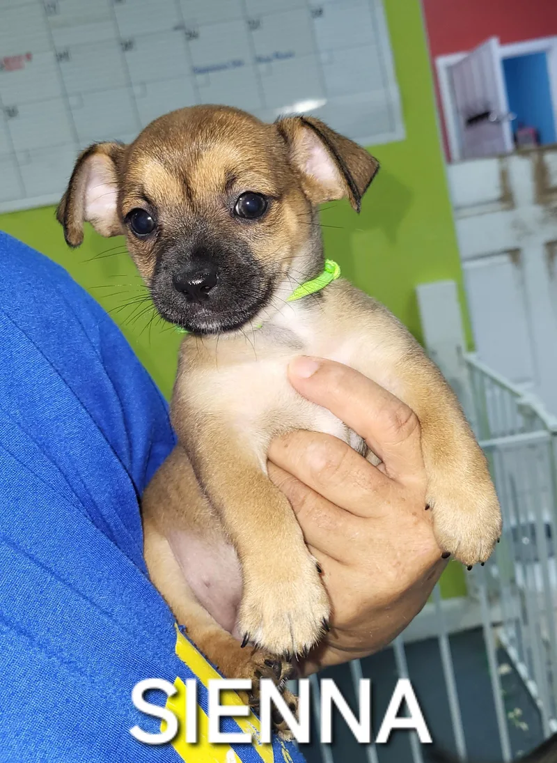 Suri's thumbnail 6