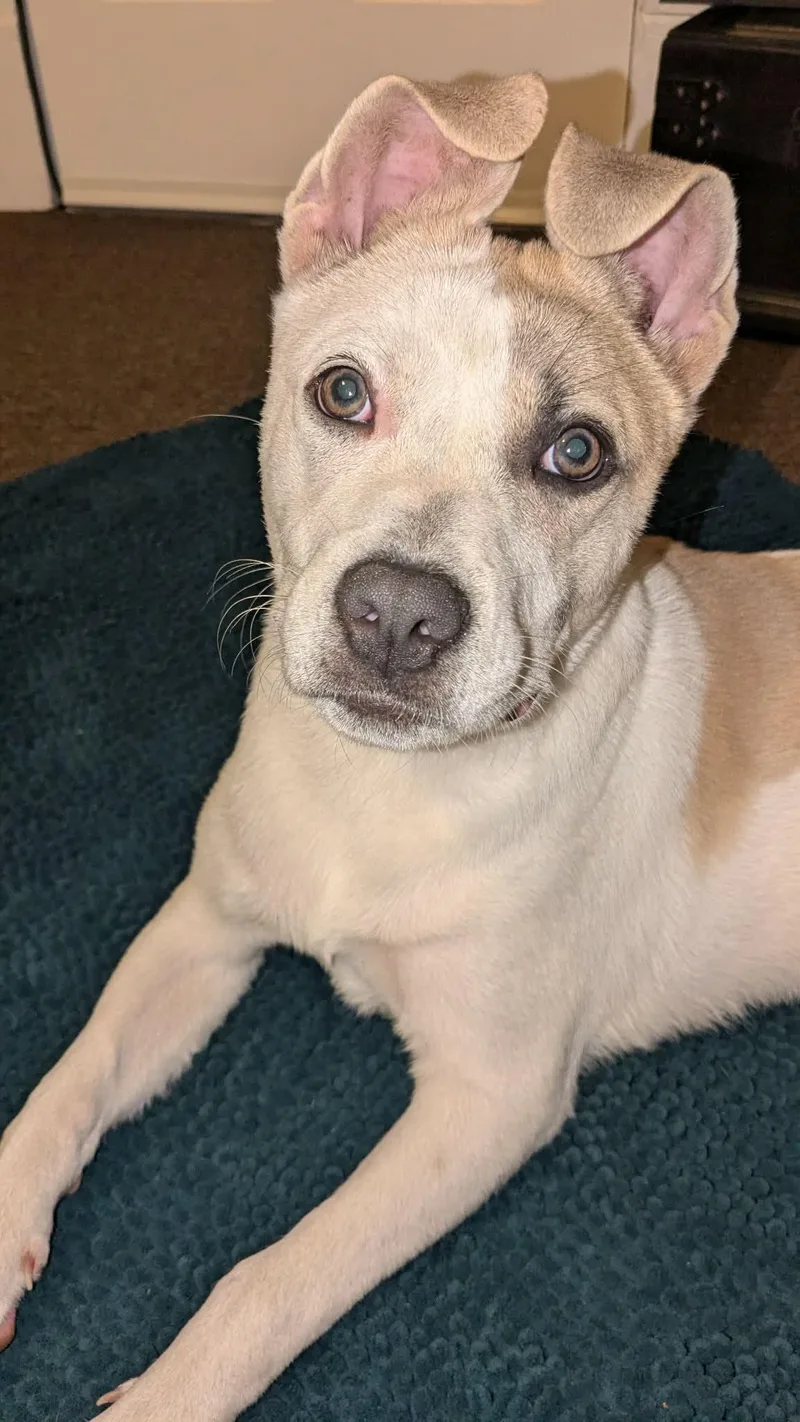 Parker