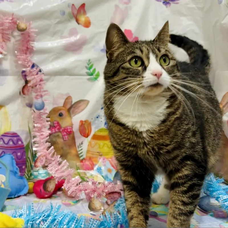 Princess thumbnail 2