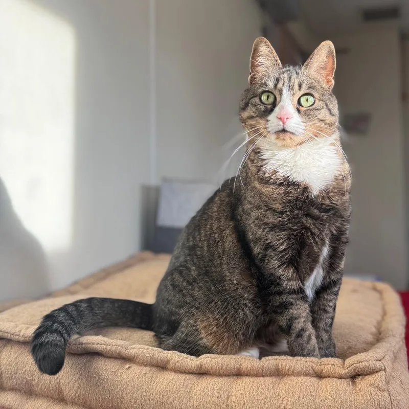 Princess thumbnail 4