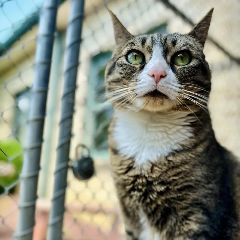 Princess thumbnail 5