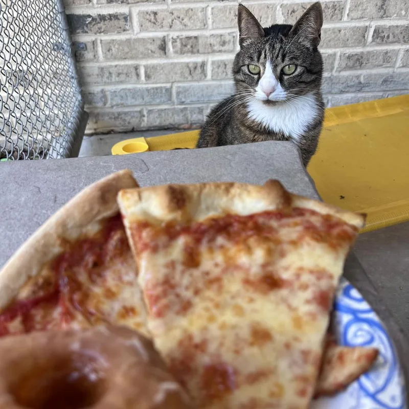 Princess thumbnail 6