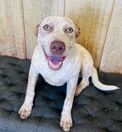 Freckles thumbnail 2