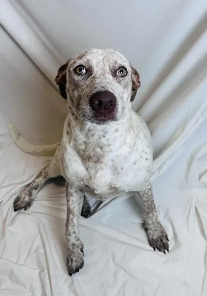 Freckles thumbnail 3