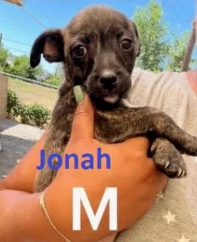 Jonah thumbnail 5