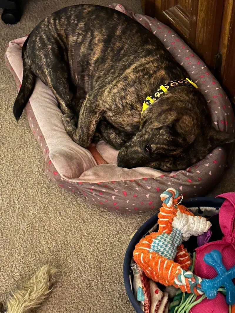 Pretty Penny