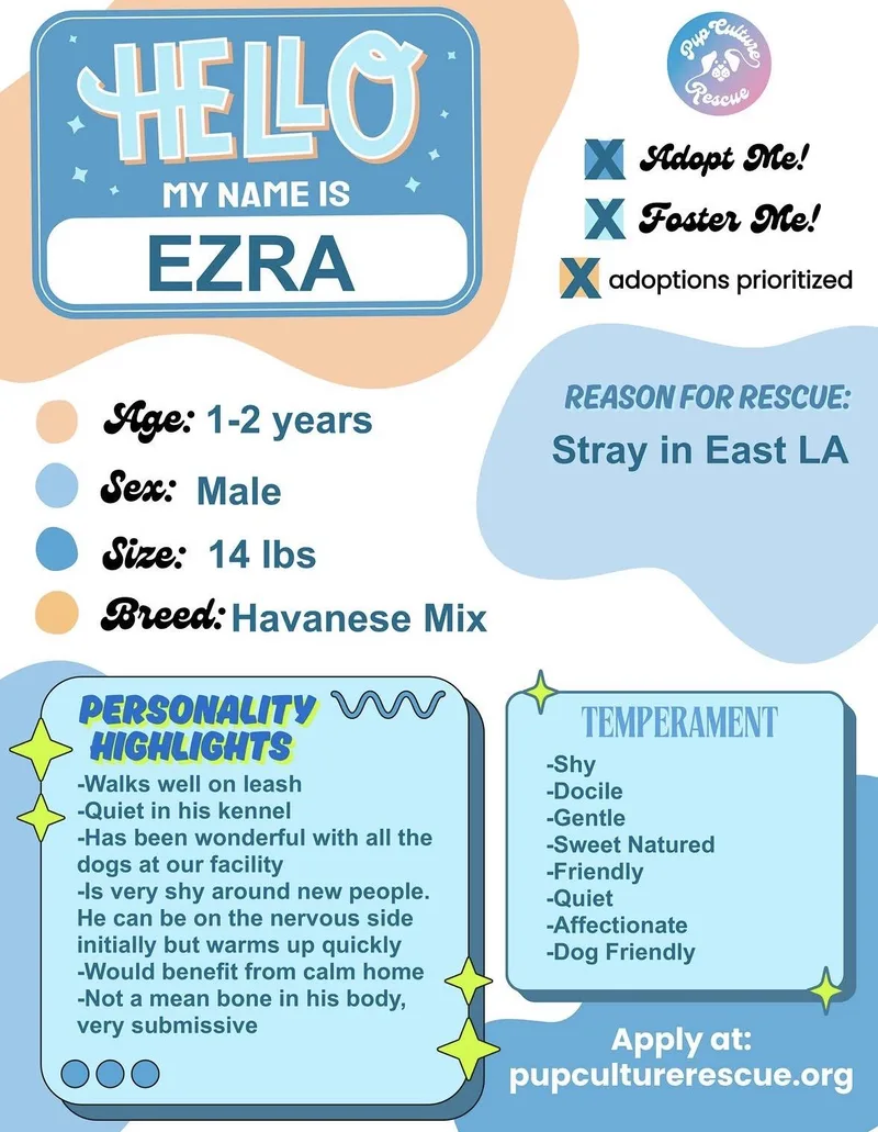 Ezra thumbnail 5