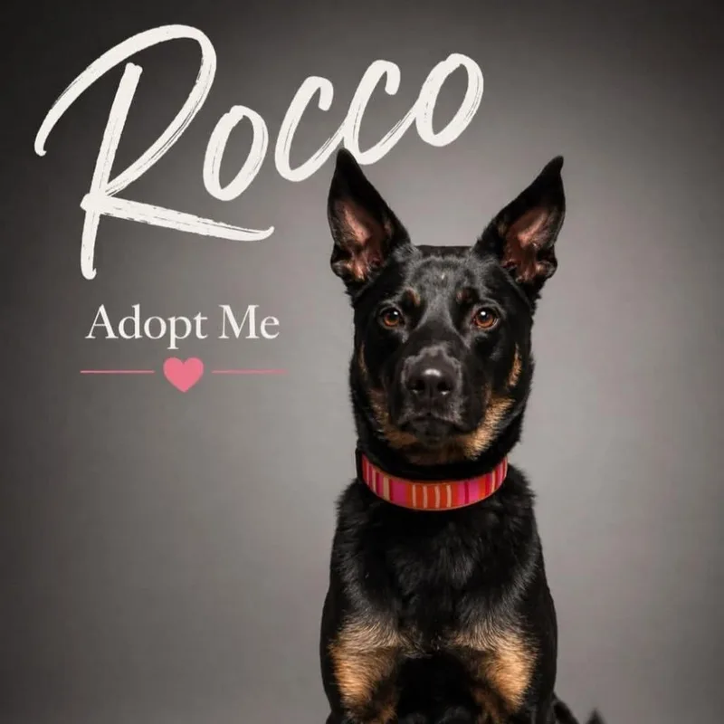 Roco Hall thumbnail 2