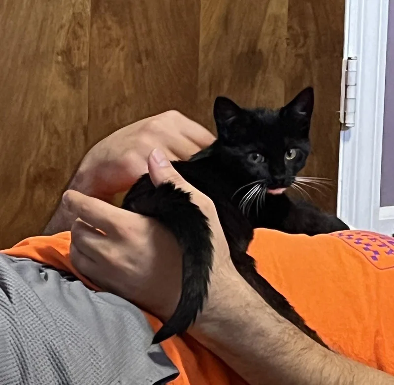 Tasha thumbnail 3