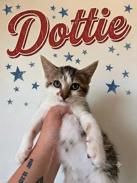 Dottie  bonded with thumbnail 2
