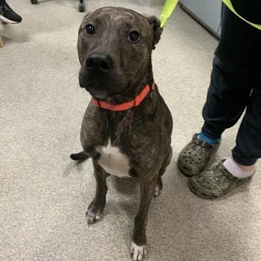 Knock Knock thumbnail 2