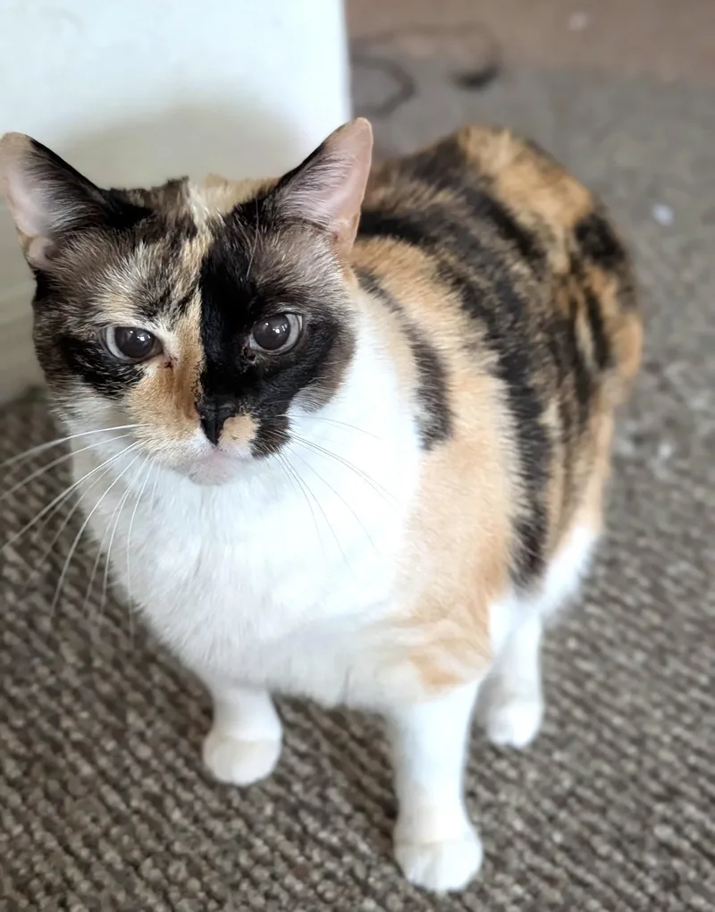 MOLLYLoves people thumbnail 3